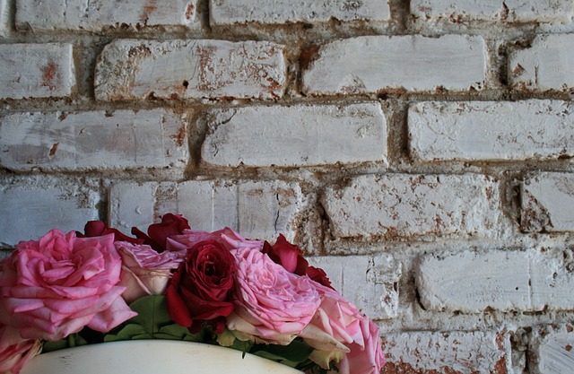 Breaking Down a Brick Wall Part 1 | Our Prairie Nest