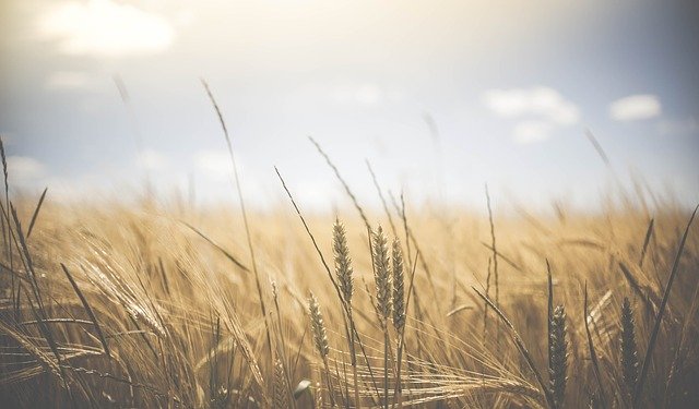 Waning Days | Our Prairie Nest