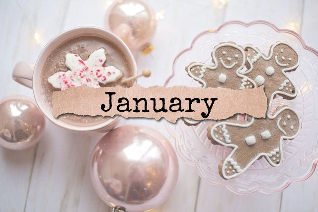 January Journal | Our Prairie Nest