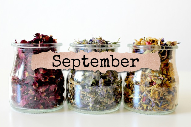 September Journal | Our Prairie Nest