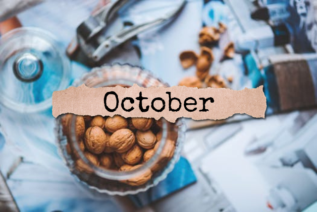 October Journal | Our Prairie Nest