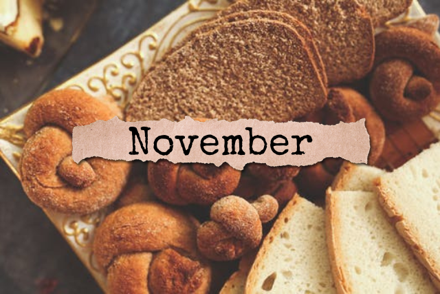 November Journal | Our Prairie Nest