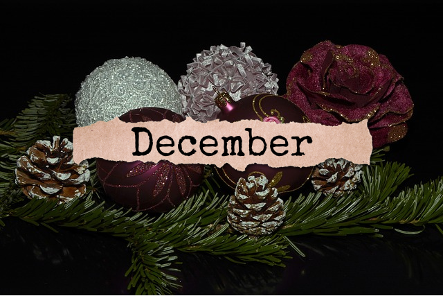 December Journal | Our Prairie Nest