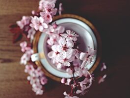 A Belated New Year's Post | Our Prairie Nest