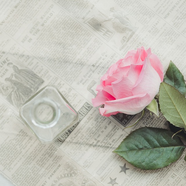 April Journal-A Light Schedule | Our Prairie Nest